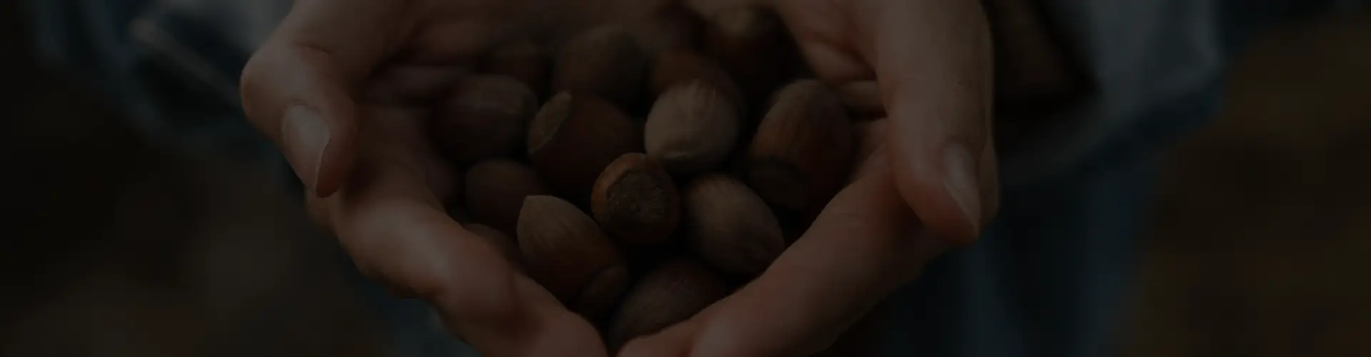 Holding hazelnuts